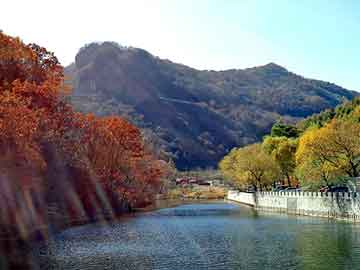 澳门天天免费精准大全，china.cn